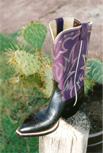 Purple Top with Neon Variegated 5 row stitch and Water Buffalo bottom. Small box toe and cowboy heel.