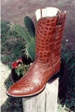 Alligator Boot w/Matching Alligator Top