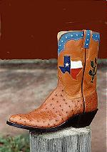 Ostrich Boot w/10-inch Top, Cactus & Texas Design