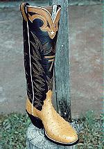 Full-Quill Ostrich Boot, Tops feature a Brand & Star on the Collar