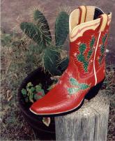 Red Pee-Wee Boot with Cactus Design