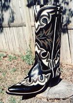 Black and Bone Boot -- Winner of the Unique Class Show Favorite, at Brownwood, Texas - 2001