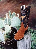 Brown Roughout Boot with Inlay